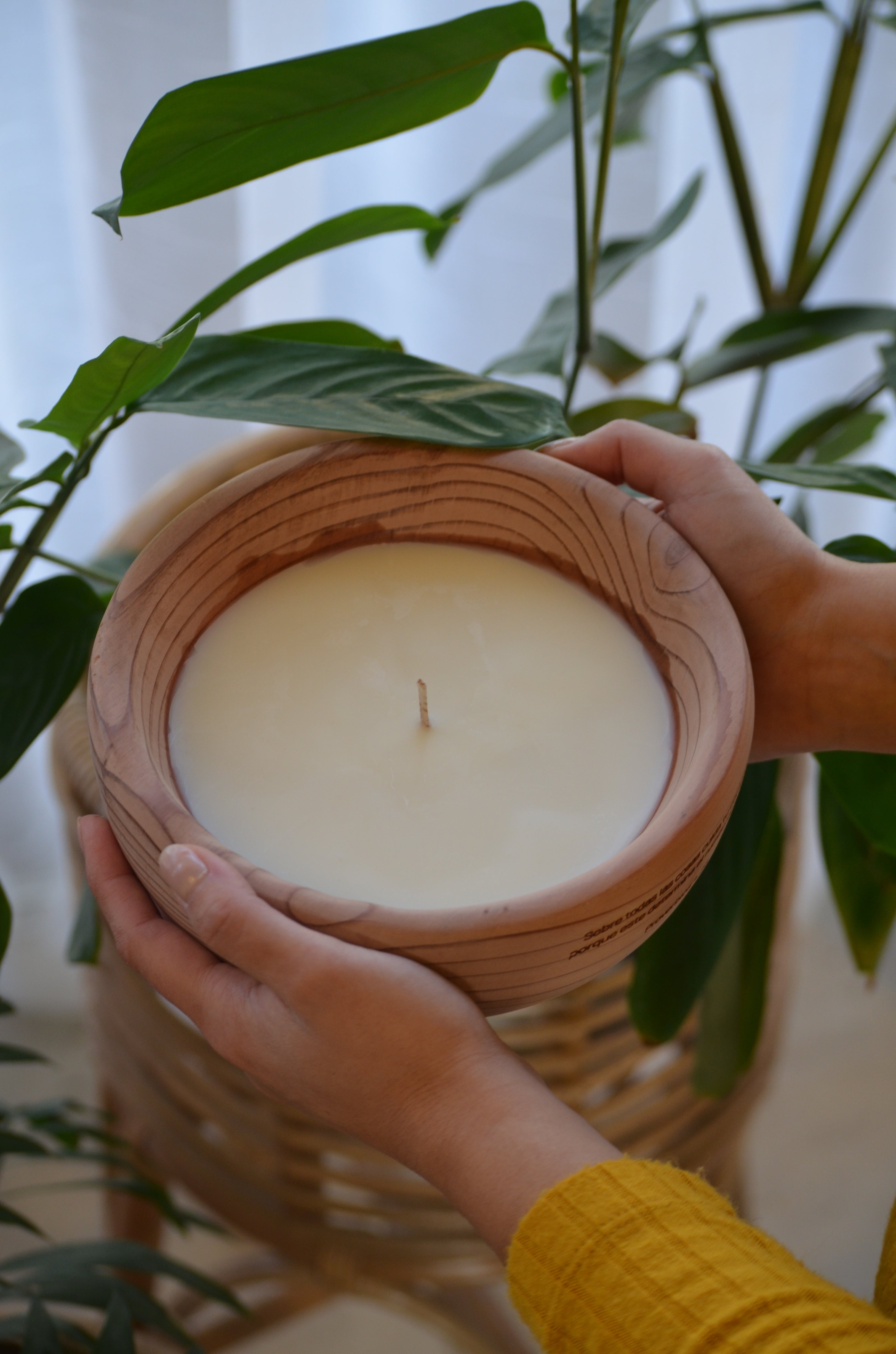 Velas